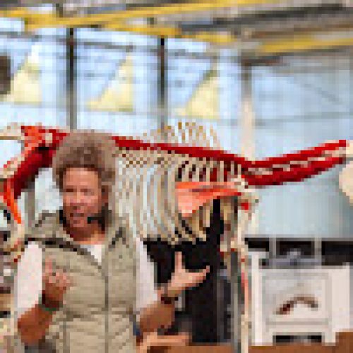 2025-09-19 - Tamara Beukhof