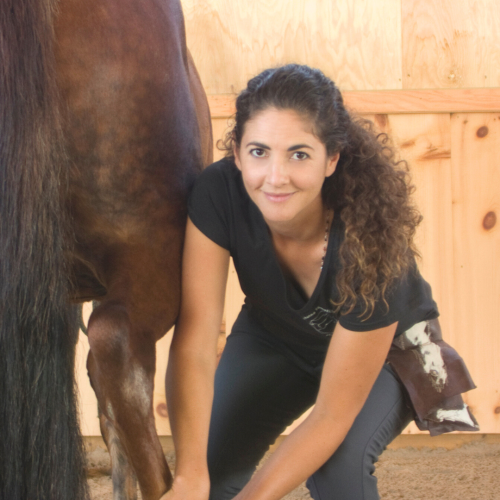 Alissa Mayer IG headshot ehs.org - Alissa Mayer