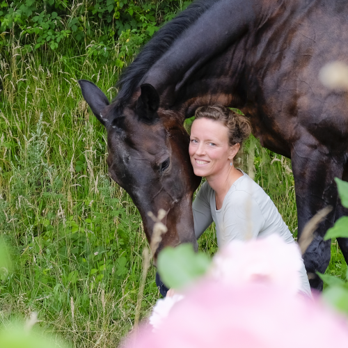 _DSF0886_korr_GMB Kopie