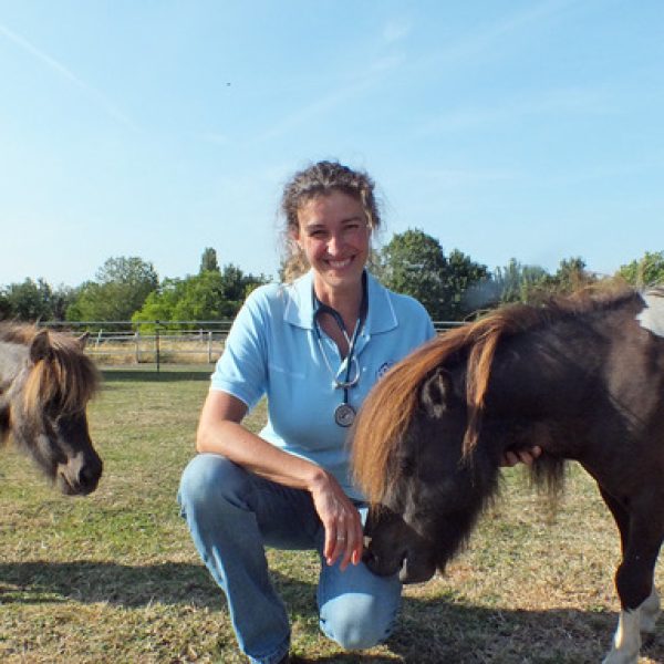 Schwarz_Shettland_Ponies