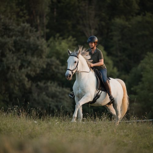 _V7A9175 - Anna Eichinger