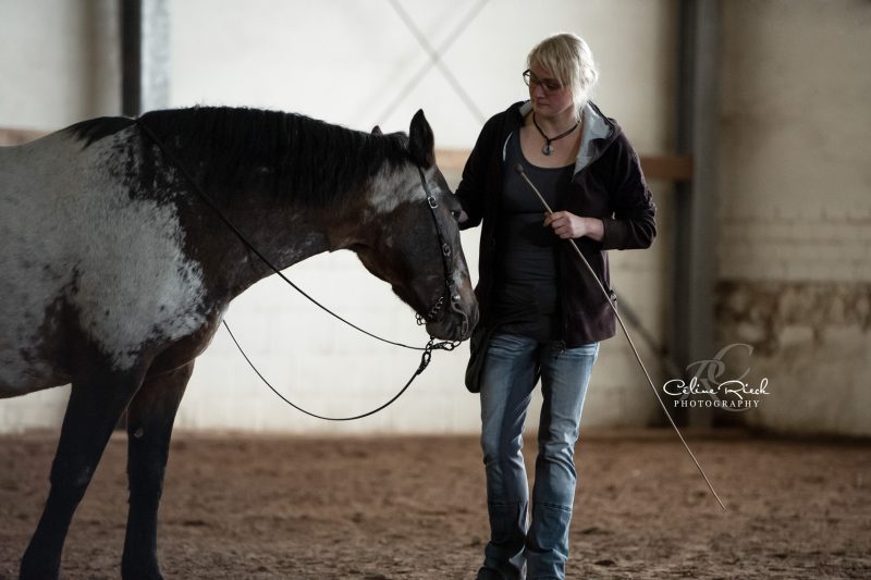 cri_2132-20191019_corinnareubold_kurs_lindenhof_web